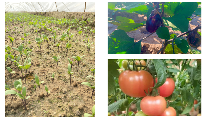 从“造房子”到“造生活”