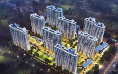 新品面世丨白桦林里的诗意生活