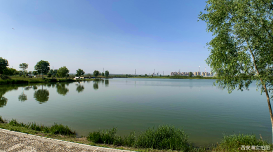 自然起笔,湖居是给孩子最好的成长礼