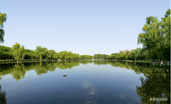 白桦林悦24小时生活图鉴