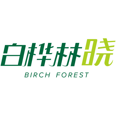 白桦林晓