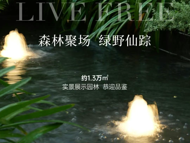 实景呈现，天成夏日园林图鉴！