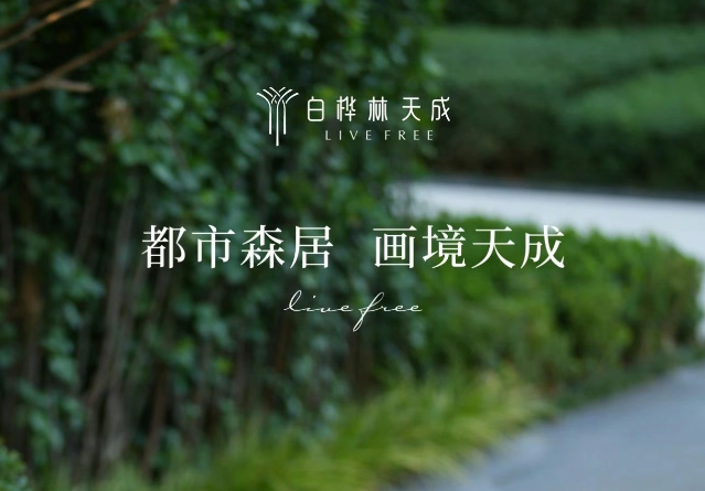 白桦林天成 | 绝美都市森居园林，又双叒出片了！