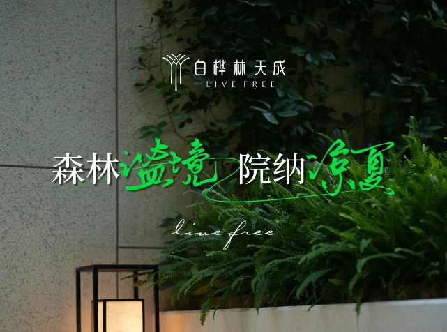 白桦林天成丨一步一景，把四季风光种进回家的路