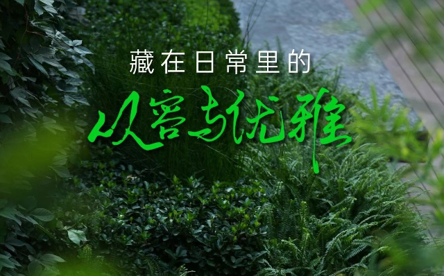 白桦林天成 | 天幕大平层里，收藏日常光影大片