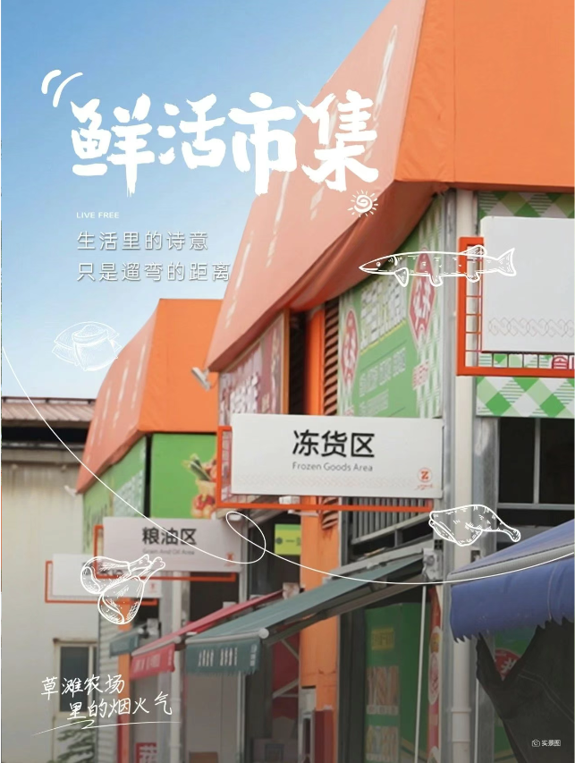 白桦林天成丨家门口，草滩农场实现“菜篮子自由”