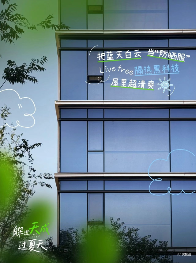 白桦林天成丨“躺赢”夏天！「避暑图鉴」来了~