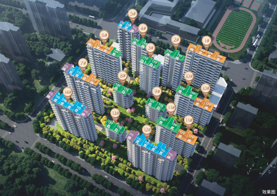 白桦林晓丨登顶双榜No.1，热销持续！揭秘红盘背后的价值引力！