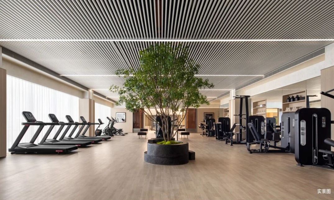 白桦林天成 | 会所盛启，重塑圈层健康私域