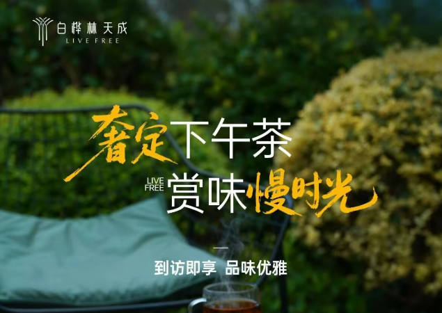 白桦林天成 | 赏味深秋，您的下午茶已备好！