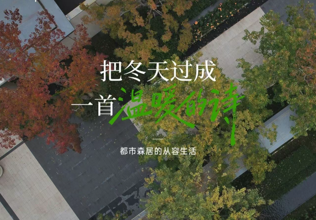 白桦林天成 | 都市森居，铺卷冬日诗章！