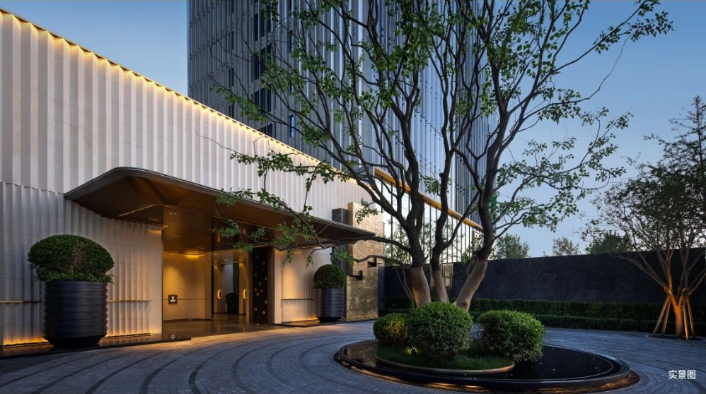 白桦林天成丨春节前@您，鉴证家的模样